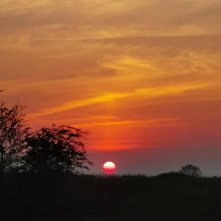 Blabjerg Barn 톤더