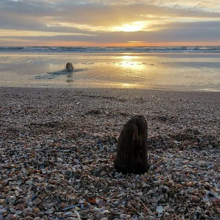 Blabjerg Barn * 톤더