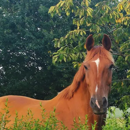 Blabjerg Barn Lejlighed Tønder