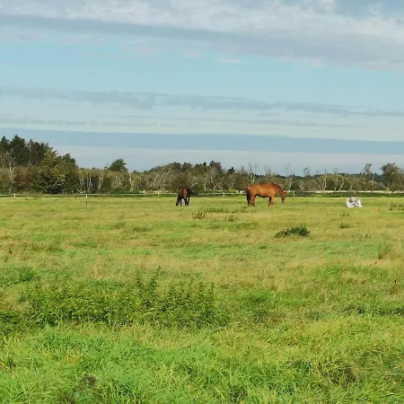 Blabjerg Barn Lejlighed