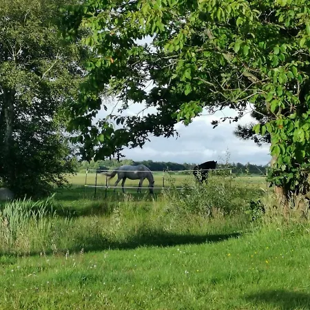 Lejlighed Blabjerg Barn