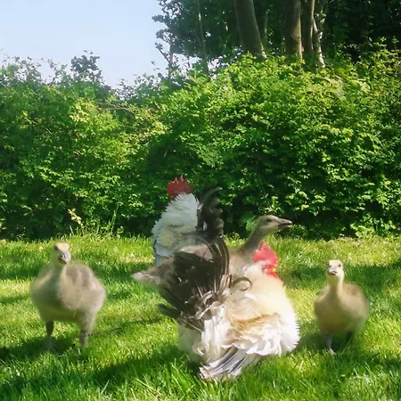 Blabjerg Barn * 톤더