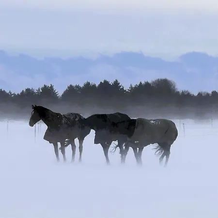 Lägenhet Blabjerg Barn *