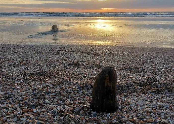 Blabjerg Barn * Tønder