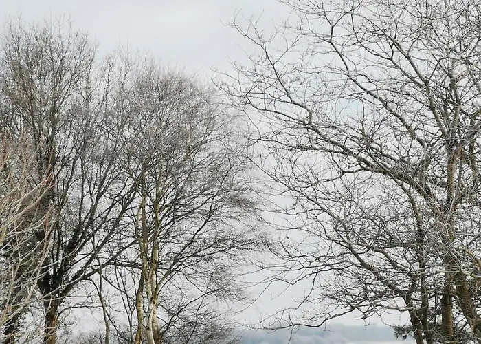 Blabjerg Barn *