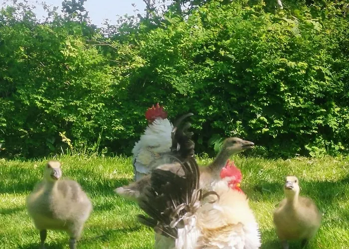 Blabjerg Barn * Tønder