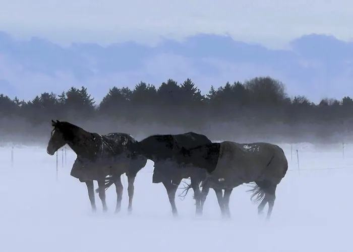 Apartment Blabjerg Barn *